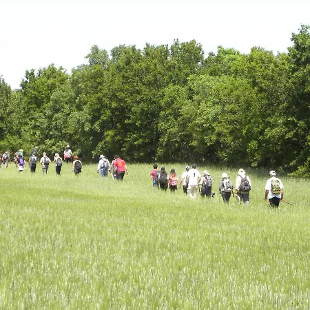 Panzió Casa Rossella